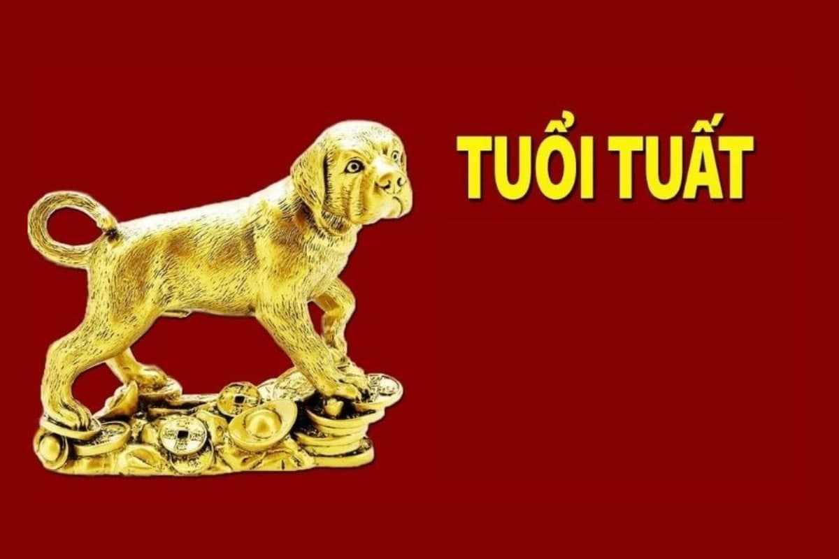 Thông tin tổng quan về tuổi Nhâm Tuất 1982